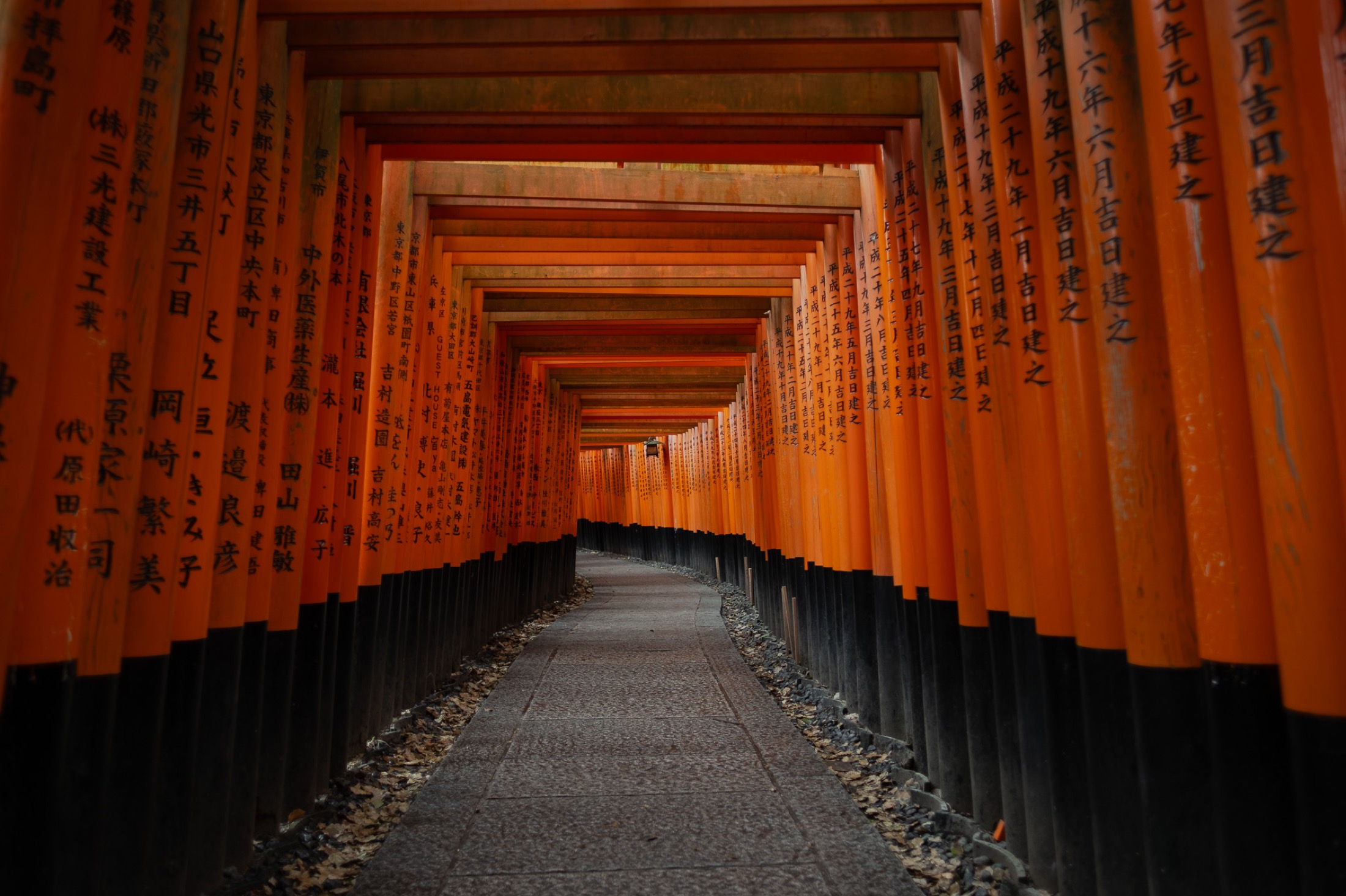Torii gates photographed by Levi Meir Clancy for the Wikimedia Commons section